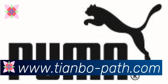 天博官网合作伙伴